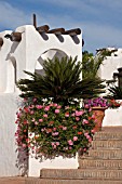 TROPICAL BALCONY WITH PELARGONIUMS