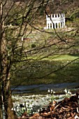 VIEW OF FOLLY WITH GALANTHUS,   SNOWDROPS AT PAINSWICK ROCOCCO GARDEN