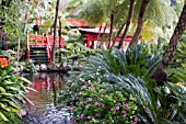 MONTE PALACE TROPICAL GARDEN,  LAKE WITH KOI FISH,  IN JAPANESE GARDEN,  FUNCHAL,  MADEIRA