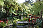 MONTE PALACE TROPICAL GARDEN,  VIEW OF KOI LAKE IN JAPANESE GARDEN,  FUNCHAL,  MADEIRA