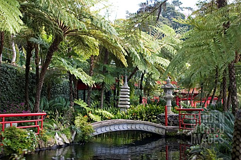 MONTE_PALACE_TROPICAL_GARDEN__VIEW_OF_KOI_LAKE_IN_JAPANESE_GARDEN__FUNCHAL__MADEIRA