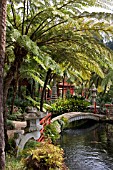 MONTE PALACE TROPICAL GARDEN,  VIEW OF KOI LAKE IN JAPANESE GARDEN,  FUNCHAL,  MADEIRA