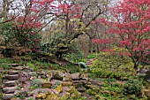 VIEW OF SANDSTONE ROCK GARDEN AT WINTERBOURNE BOTANIC GARDEN,  UNIVERSITY OF BIRMINGHAM,  APRIL