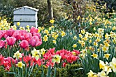 BEEHIVE COMPOSTER IN MEADOW OF NARCISSUS AND TULIPS