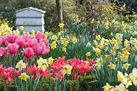 BEEHIVE_COMPOSTER_IN_MEADOW_OF_NARCISSUS_AND_TULIPS