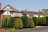 SUBURBAN FRONT GARDEN WITH HEDGE INTEREST