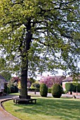 SUBURBAN FRONT GARDEN ON CORNER PLOT