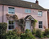 VILLAGE FRONT GARDEN WITH PINK COTTAGE AND SHRUBS