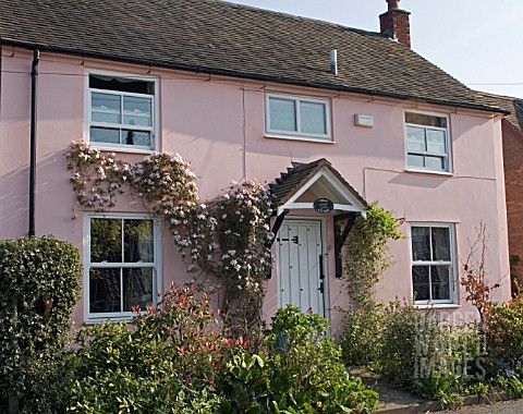 VILLAGE_FRONT_GARDEN_WITH_PINK_COTTAGE_AND_SHRUBS