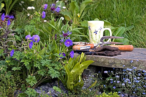 PEMBROKESHIRE_PROMISE__BORDERS_WITHOUT_GARDENS__MALVERN_SPRING_GARDENING_SHOW__DESIGNED_BY_SUE_WAKEM