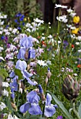 MIXED SPRING BORDER