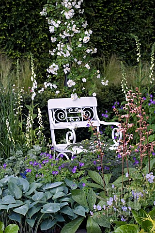 DETAIL_OF_PLANTING_AND_BENCH_IN_THE_DAILY_TELEGRAPH_GARDEN__CHELSEA_FLOWER_SHOW_2007__DESIGNER_ISABE