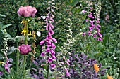 PLANTING AT STONELEIGH HOUSE GARDEN OPEN FOR NGS. OWNED BY MR AND MRS MASON