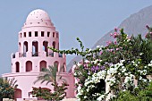 BOUGAINVILLEA AND OLEANDER IN FRONT OF PINK TOWER