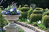 TOPIARY AT MILL DENE GARDEN,  BLOCKLEY,  MORETON IN MARSH,  GLOUCESTERSHIRE