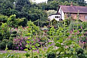 VIEW OF MILL DENE GARDEN,  BLOCKLEY,  GLOUCESTERSHIRE,  JUNE