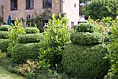 VIEW OF TOPIARY AND THE OLD MILL BUILDING AT MILL DENE GARDEN,  BLOCKLEY,  GLOUCESTERSHIRE,  JUNE