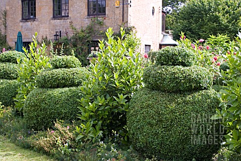 VIEW_OF_TOPIARY_AND_THE_OLD_MILL_BUILDING_AT_MILL_DENE_GARDEN__BLOCKLEY__GLOUCESTERSHIRE__JUNE