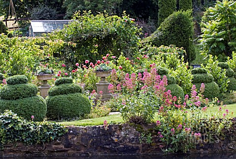 VIEW_OF_TOPIARY_FROM_ACROSS_THE_MILL_POND_AT_MILL_DENE_GARDEN__BLOCKLEY__GLOUCESTERSHIRE__JUNE
