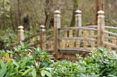 RHODODENDRON AND JAPANESE BRIDGE