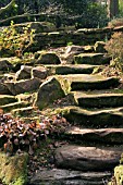 STONE STEPS IN ROCKERY