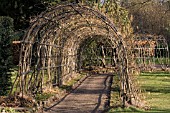 WILLOW TUNNEL