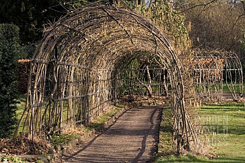 WILLOW_TUNNEL
