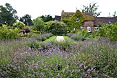 THE ROSE GARDEN AT WINTERBOURNE BOTANIC GARDEN BIRMINGHAM UNIVERSITY