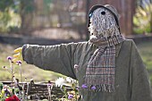 SCARECROW AT LLANGOLLEN GARDENING SHOW 2007