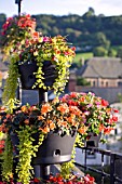 BEGONIAS IN BASKETS ON THE BRIDGE AT LLANGOLLEN,  JULY