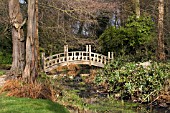 VIEW OF JAPANESE BRIDGE,  AT WINTERBOURNE BOTANICAL GARDEN