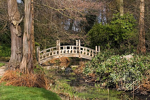 VIEW_OF_JAPANESE_BRIDGE__AT_WINTERBOURNE_BOTANICAL_GARDEN