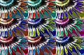 POSTERISED POP ART PASSIFLORA CAERULEA