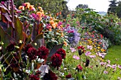 HOT SUMMER BORDER AT DOROTHY CLIVE GARDEN