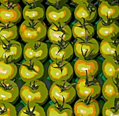 MANIPULATED GREEN TOMATOES