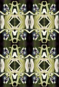 KALEIDOSCOPIC ORCHIDS AS WALLPAPER