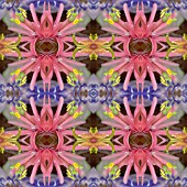 KALEIDOSCOPIC PASSIFLORA