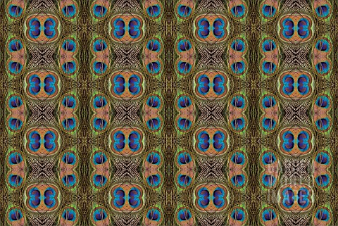 KALEIDOSCOPIC_PEACOCK_FEATHERS_IN_REPEAT_PATTERN