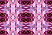 KALEIDOSCOPIC ROSE IN REPEAT PATTERN