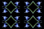 KALEIDOSCOPIC BLUEBELLS IN REPEAT PATTERN