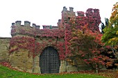 ARLEY ARBORETUM,  IN THE AUTUMN