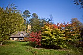 BATSFORD ARBORETUM IN OCTOBER