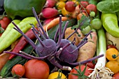 BASKET OF SALAD