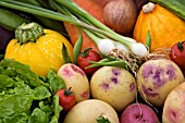 BASKET OF VEGETABLES