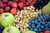 BASKET OF FRUIT