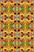 ECHINACEA ARTS PRIDE MANIPULATED,  KALEIDOSCOPIC PATTERN