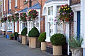 HANGING BASKETS,  PERSHORE,  WORCESTERSHIRE