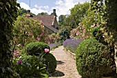 RAMBLING ROSES AT MILL DENE GARDEN,  BLOCKLEY,  WARWICKSHIRE,  JUNE