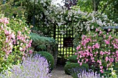 RAMBLING ROSES AT MILL DENE GARDEN,  BLOCKLEY,  GLOUCESTERSHIRE