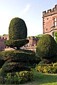 TOPIARY AT NEW HALL HOTEL,  WALMLEY,  WEST MIDLANDS